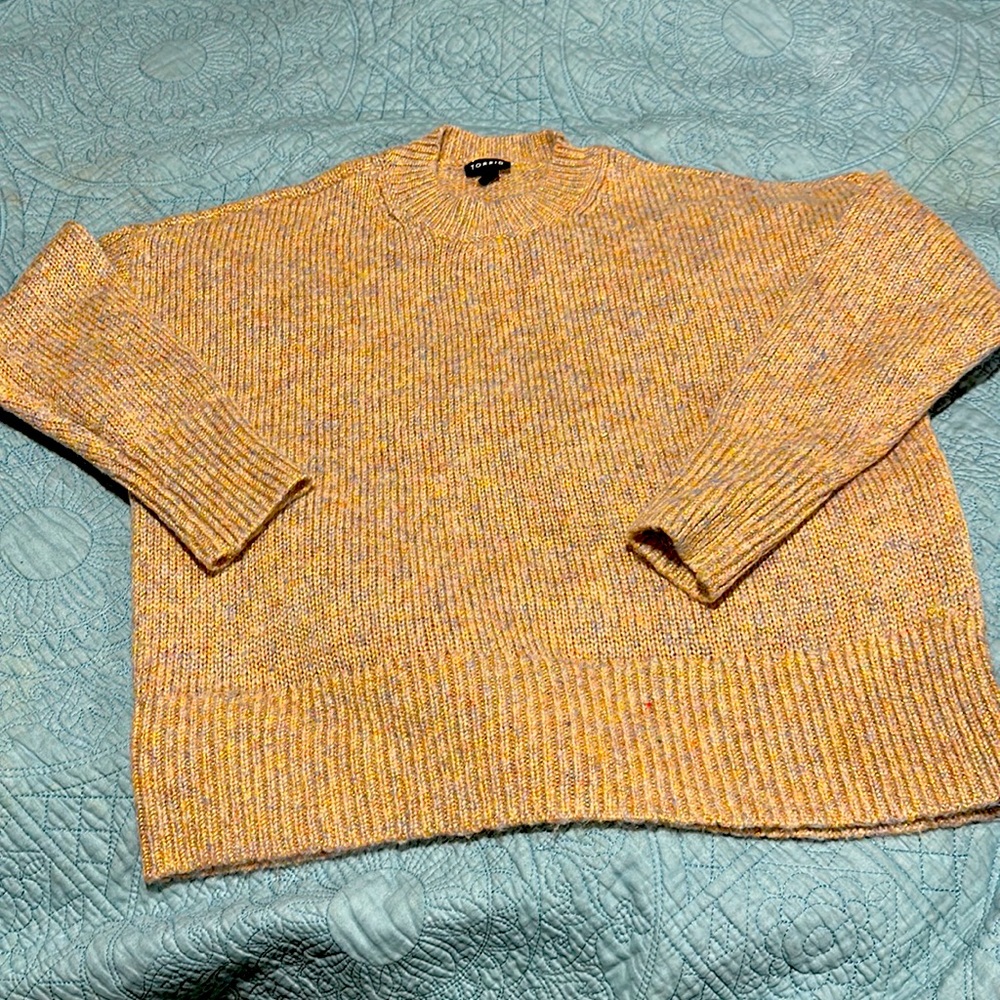 Torrid sweater size 1X